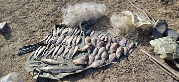 Усиленный режим работы рыбоохраны на территории Забайкальского края