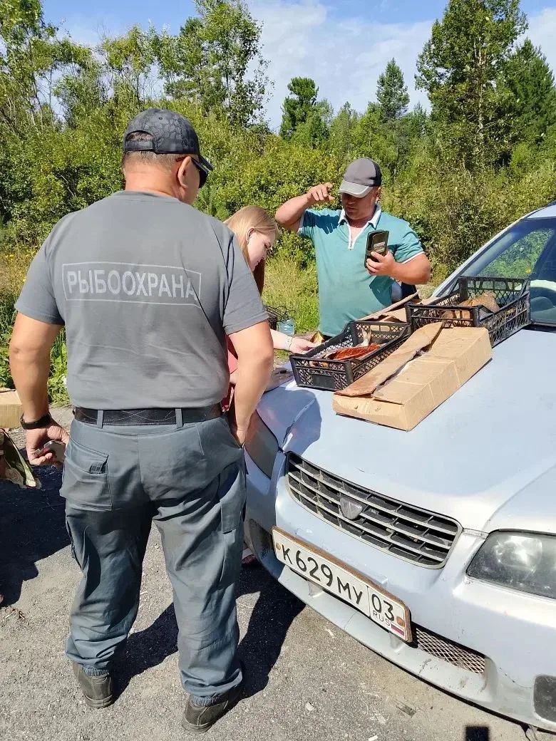 Рейд по пресечению фактов торговли вне установленных мест