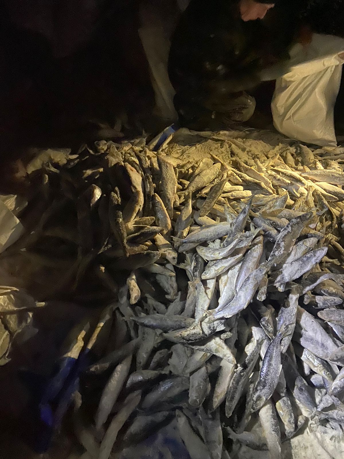 Выявлена незаконная добыча водных биологических ресурсов