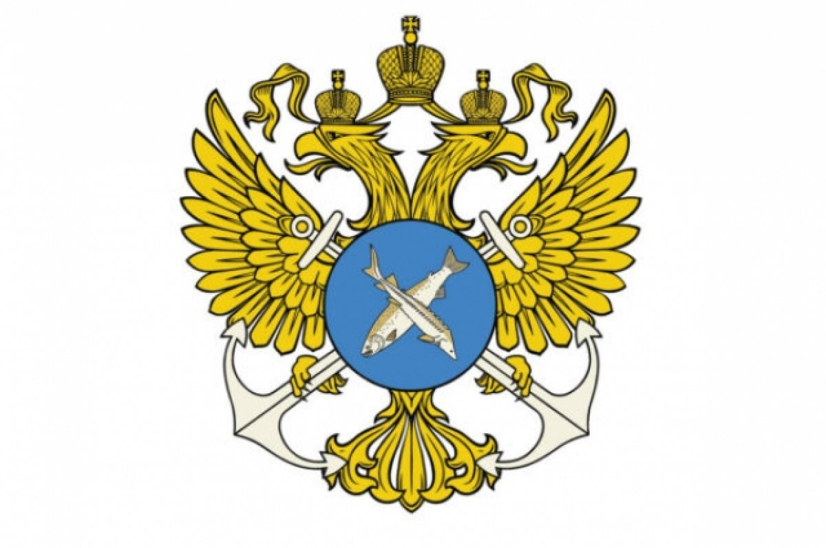 Путеводитель нового сотрудника