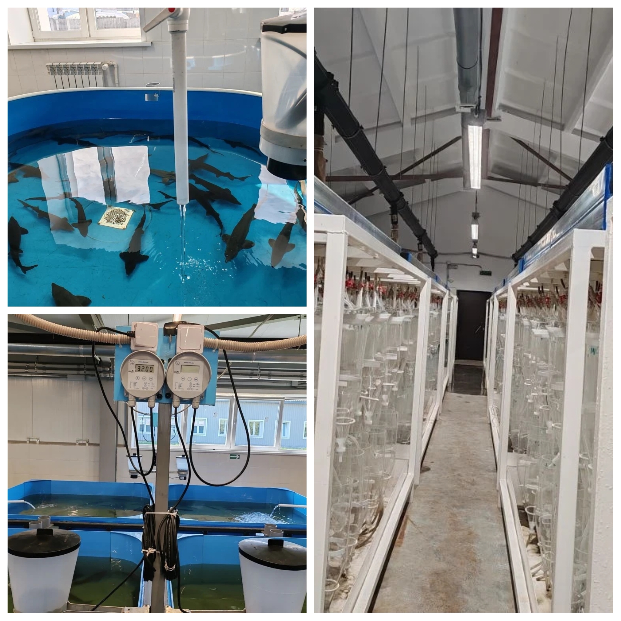 Обследование производственных мощностей Большереченского рыбоводного завода БФ ФГБУ "Главрыбвод"