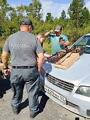 Рейд по пресечению фактов торговли вне установленных мест
