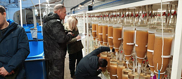 Инвентаризация икры байкальского омуля