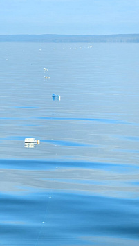 Контрольно-надзорное мероприятие в акватории Братского водохранилища