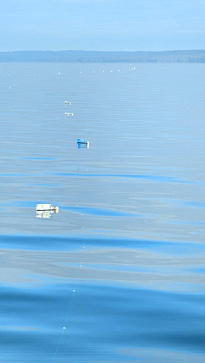 Контрольно-надзорное мероприятие в акватории Братского водохранилища