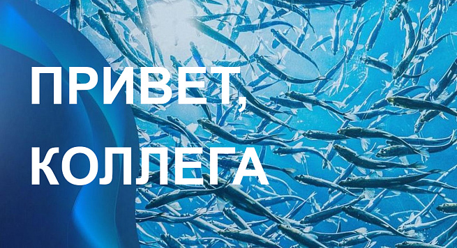 Путеводитель нового сотрудника