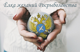 Благотворительная акция «Ёлка желаний»