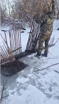 О ходе нерестовой кампании